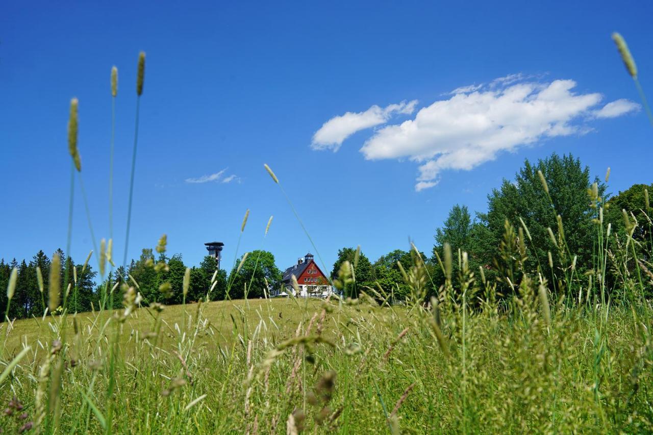 Hotel Und Restaurant Buehlhaus Eibenstock Exteriér fotografie
